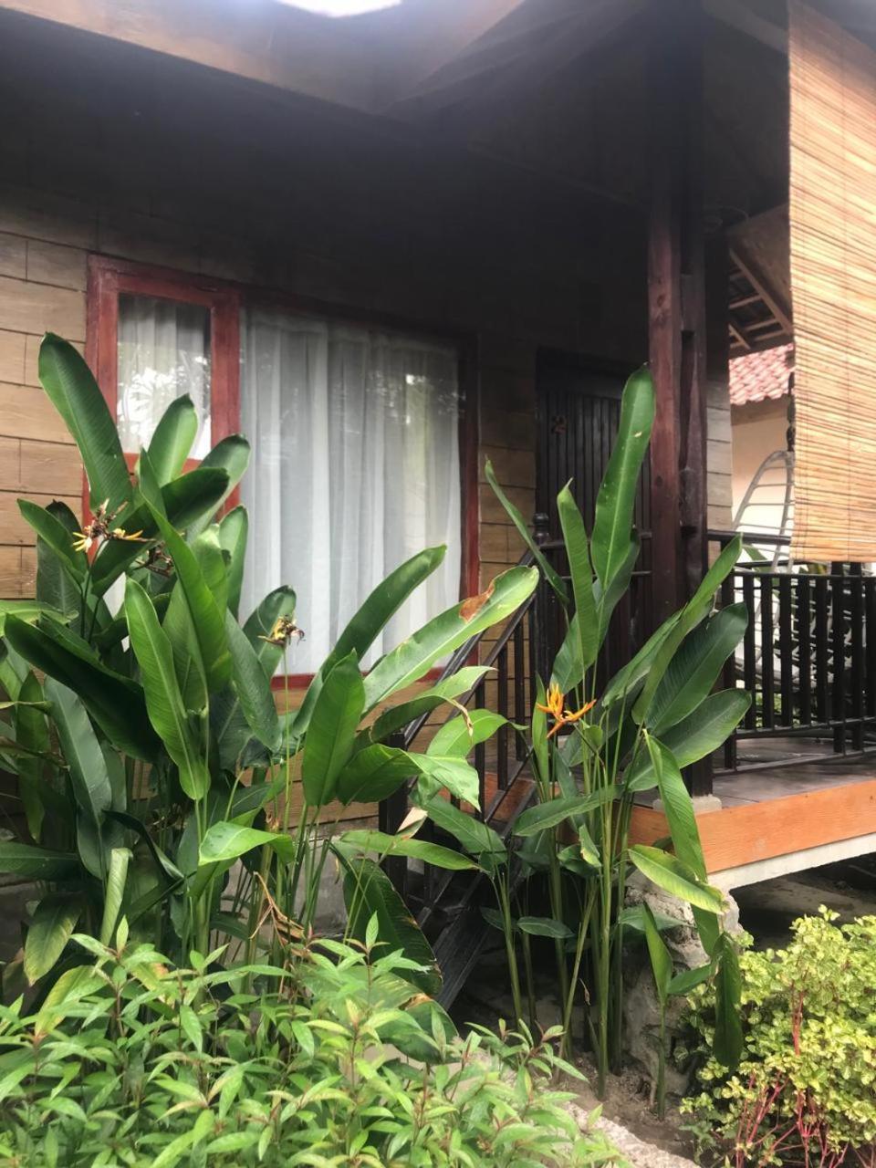 Apartament Zifa Mandalika Kuta  Zewnętrze zdjęcie